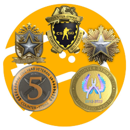 Prime / 5 Rare Medals ⭐️ 1 Games ⭐️ 8 Years of Service ⭐️ 6 lvl ⭐️ For Main ⭐️ 0